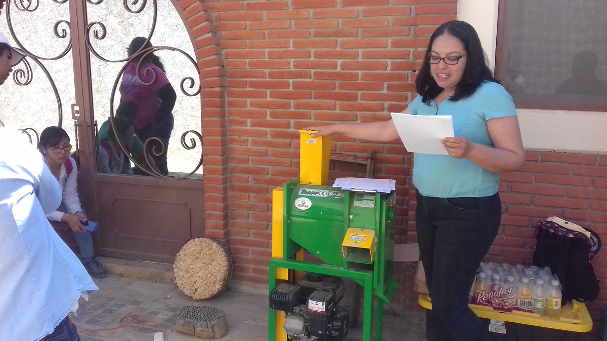 Castlewis's tweet image. Comenzando el registro de datos en el ensayo de cosecha y desgranadoras con el equipo del #HubPSUR
#ACCIMMYT