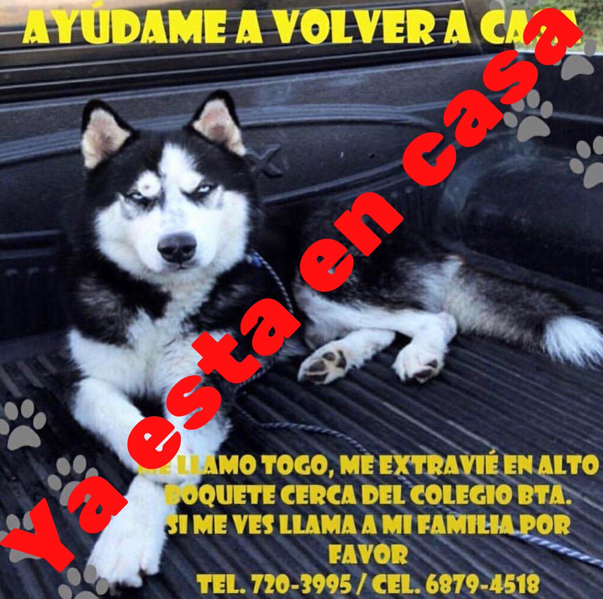 Ya Togo está de regreso en su casa 🎉🎊 gracias a todos por compartir.

#PetsWorldMagazine #RevistaDeMascotas #Panama #Mascotas #MascotasPanama #MascotasPty #PetsMagazine #MascotasAdorables