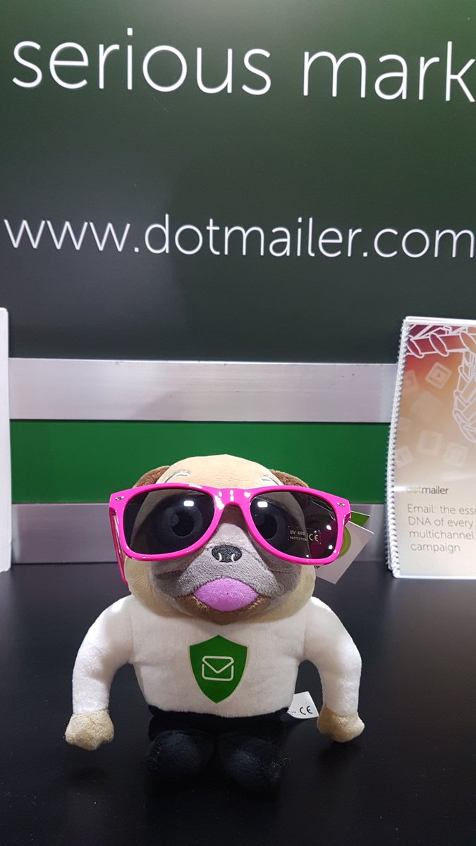 aparnagray's tweet photo. Day 2 at #SeamlessAU has kicked off in Sydney. Come see us at the @dotmailer stand to discuss #emailmarketing and more! @SeamlessAU #dotwatchdog https://t.co/HZvIewmOAP
