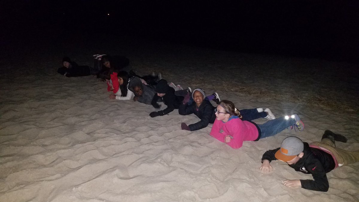 MissSotosclass's tweet photo. Beach walk turtle talk to end our second day 🐢
#SoundToSea #learningoutside #scienceisfun @Smith_Seabees https://t.co/vD4TIczlH0