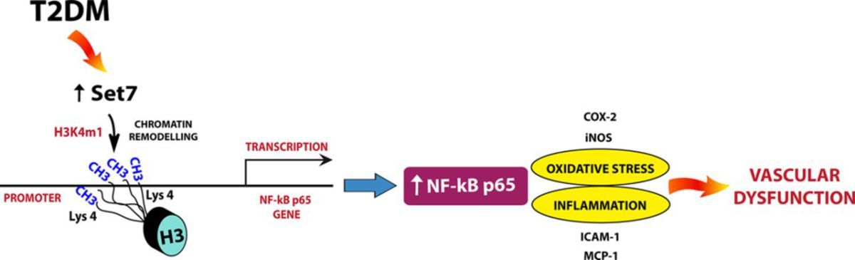 ebook chemical group