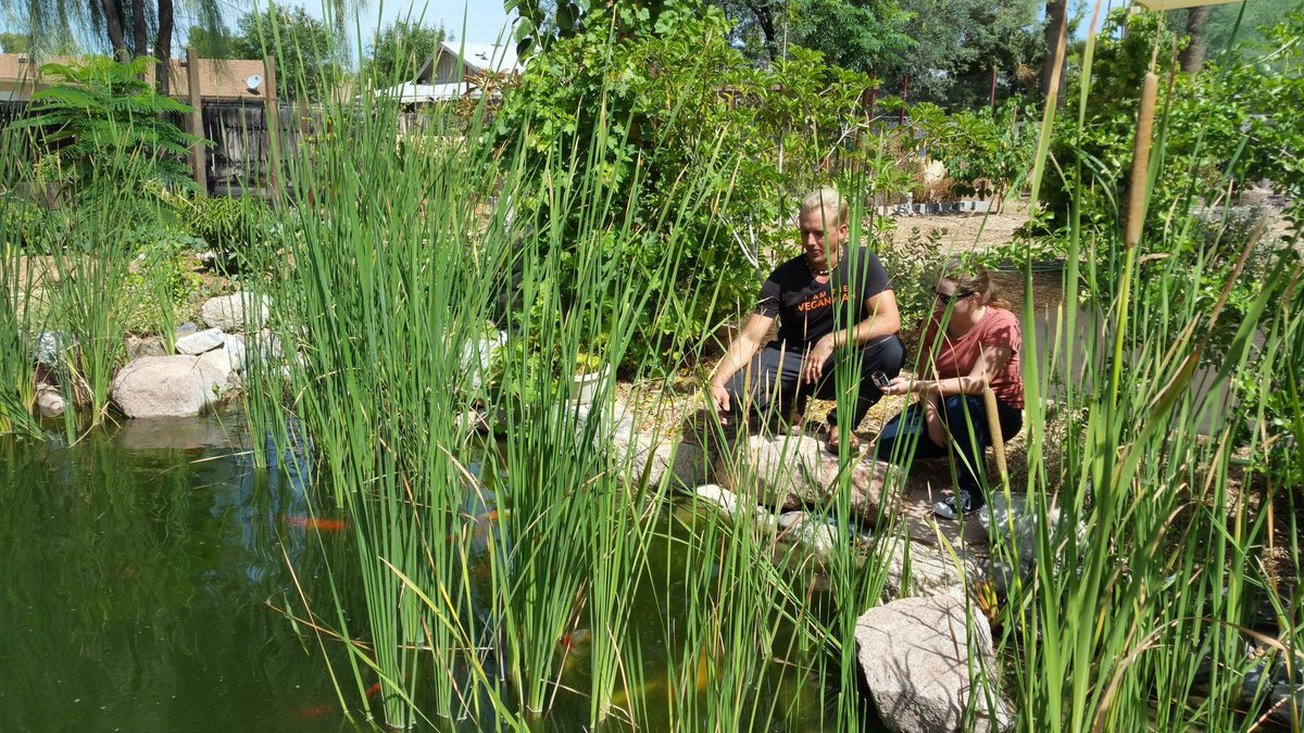 Micro_Farm tweet picture