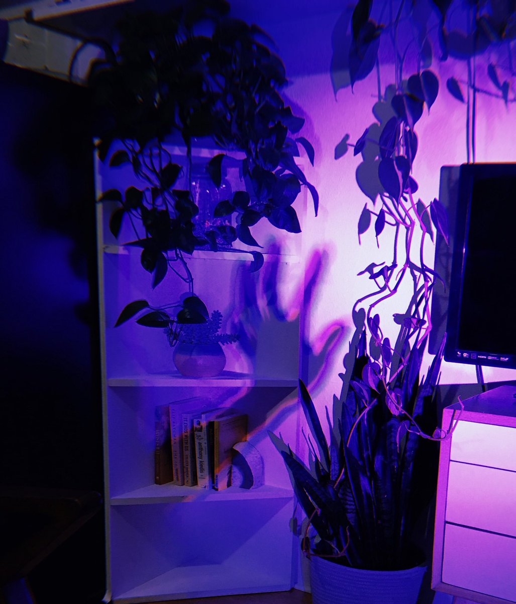 gender_enderr's tweet photo. shadow play https://t.co/xXtpXfMD8e