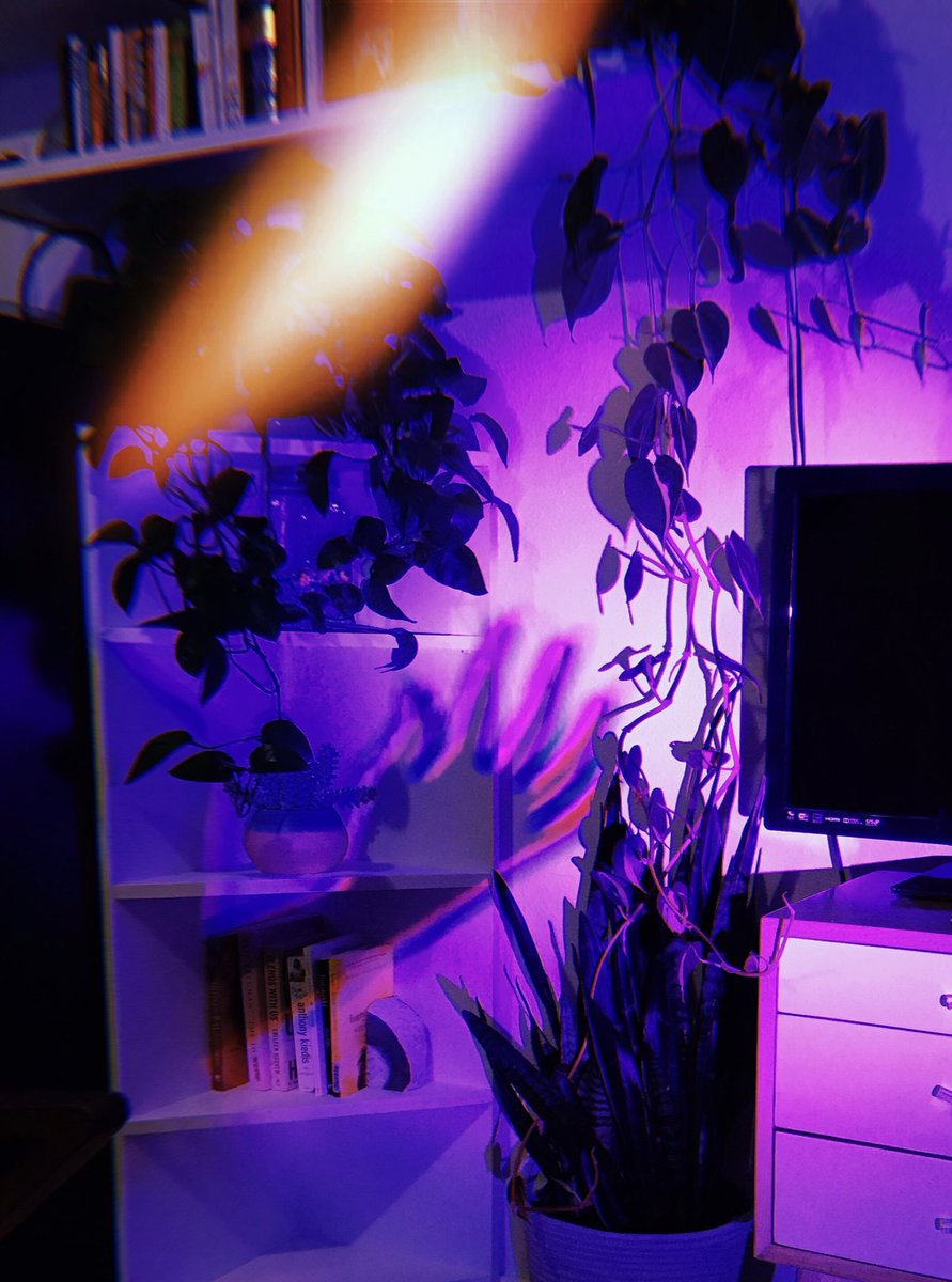 gender_enderr's tweet photo. shadow play https://t.co/xXtpXfMD8e