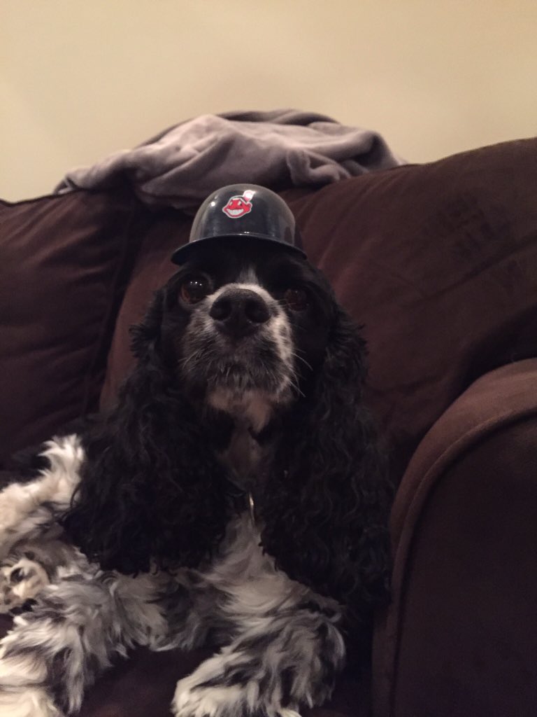 cmjudge14's tweet photo. @Indians Wilson's always ready for Tribe season! #TribeDogs https://t.co/eU832lvSgC