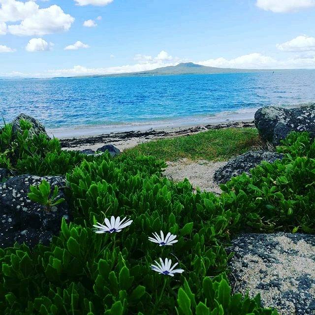 Representing earth🌱, air☁️, water🌊, and fire🌋!  Thanks <a href="/myles_town/">Myles Town</a>. Great weather today, hope everyone's enjoying it! #ilovetakapuna