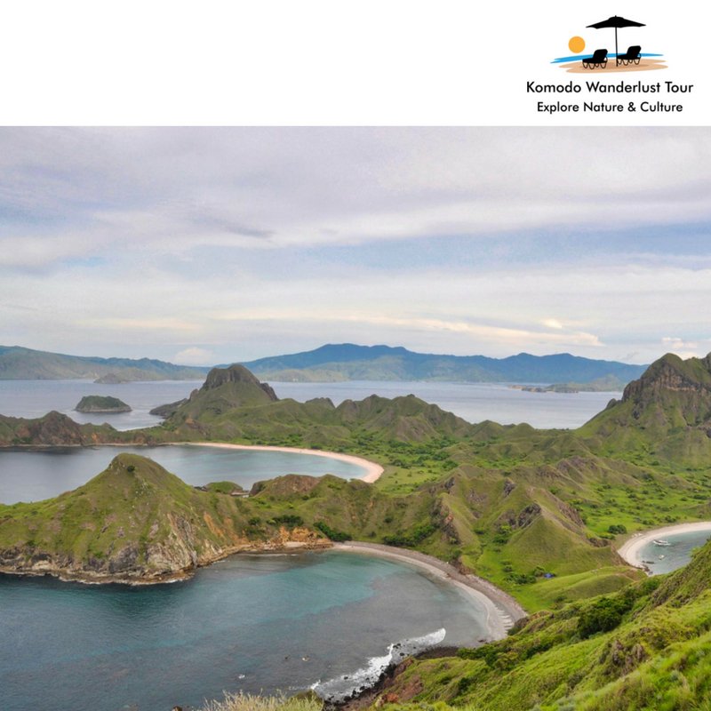 komodowanderlus's tweet photo. Labuan Bajo: The Hot Place for Travellers 🐊

✔ Travel freaks are flocking there for the taste of unique flora and fauna.

✔ Picturesque and Fantastic Island.

Know more at https://t.co/ILwgiaL4GJ

#TriptoKomodo #KomodoTour #KomodoAdventure  #KomodoTrekking #LabuanBajo https://t.co/rApeTtxSD4
