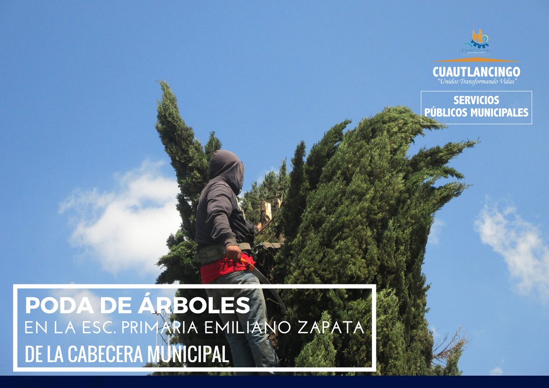 ObrasP042's tweet photo. En atención a la solicitud realizada por el comité de la Esc. Primaria Emiliano Zapata, ubicada en la cabecera municipal, la Cuadrilla de Servicios Generales realizó la poda de árboles maduros.
  #SPMCuautlancingo #Cuautlancingo https://t.co/FHiAcPGryA