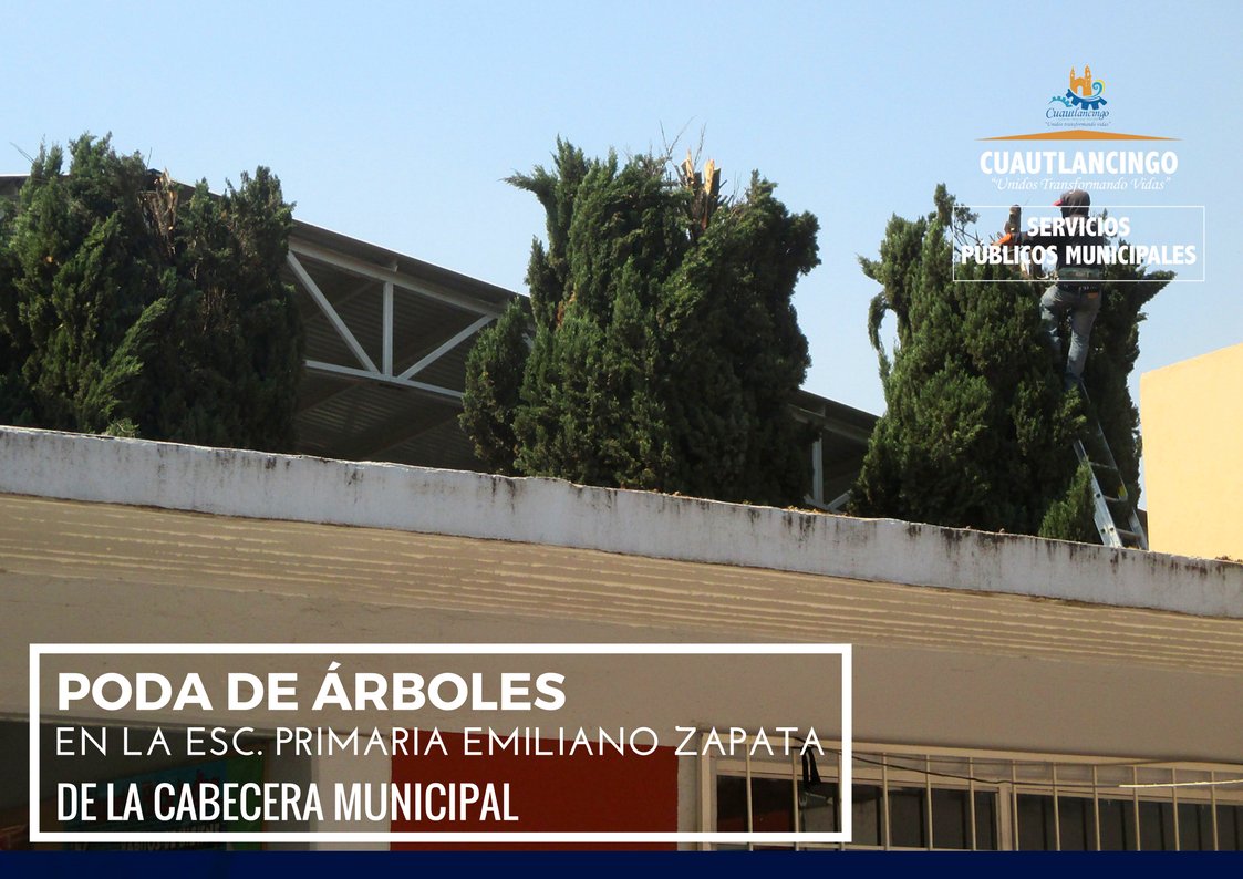 ObrasP042's tweet photo. En atención a la solicitud realizada por el comité de la Esc. Primaria Emiliano Zapata, ubicada en la cabecera municipal, la Cuadrilla de Servicios Generales realizó la poda de árboles maduros.
  #SPMCuautlancingo #Cuautlancingo https://t.co/FHiAcPGryA