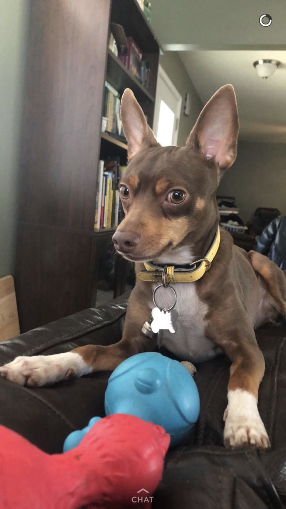 BugattiScotty's tweet photo. “Try me bitch” https://t.co/41dkNGI30r