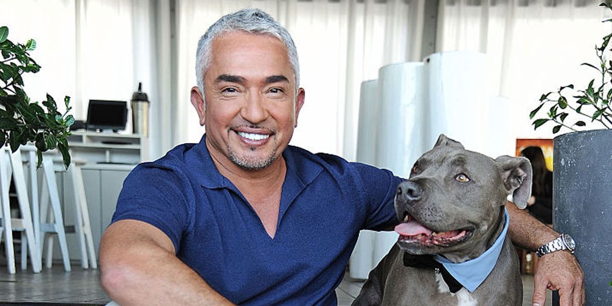Cesar Millan, better known as the The Dog Whisperer, is known for offering tried-and-true dog-training solutions to frustrated, struggling pet owners. Check out his 10 top tricks that will change your life! buff.ly/2FsQmUb #dog #dogs #dogtraining