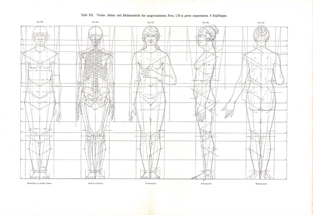 ドイツの彫刻家オットー・ゲイヤー(Otto Geyar)による美術解剖学書(1902)。ほとんどの図にガイドが引かれている。堅苦しいなと思ったが、よく見ると後世に影響を及ぼした捉え方もいくつかある。こうした過渡期の作例からは、人体への飽くなき探究心を感じるなぁ。 