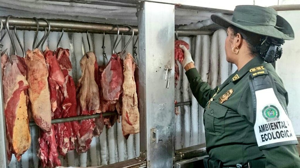 PoliciaDeCesar's tweet photo. En planes adelantados por #ProtecciónAmbiental en los barrios de #LaNevada y #DivinoNiño de #Valledupar, se incautaron más de 380 kilos de🍖🥩y fueron sellados 4 establecimientos por no cumplir el #Art110 del #CNPC https://t.co/mmfc0YQmE0