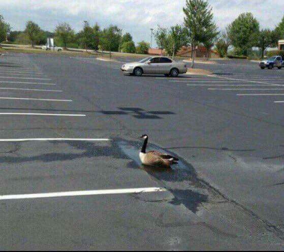 وانا ببسط نفسى فى حدود المتاح