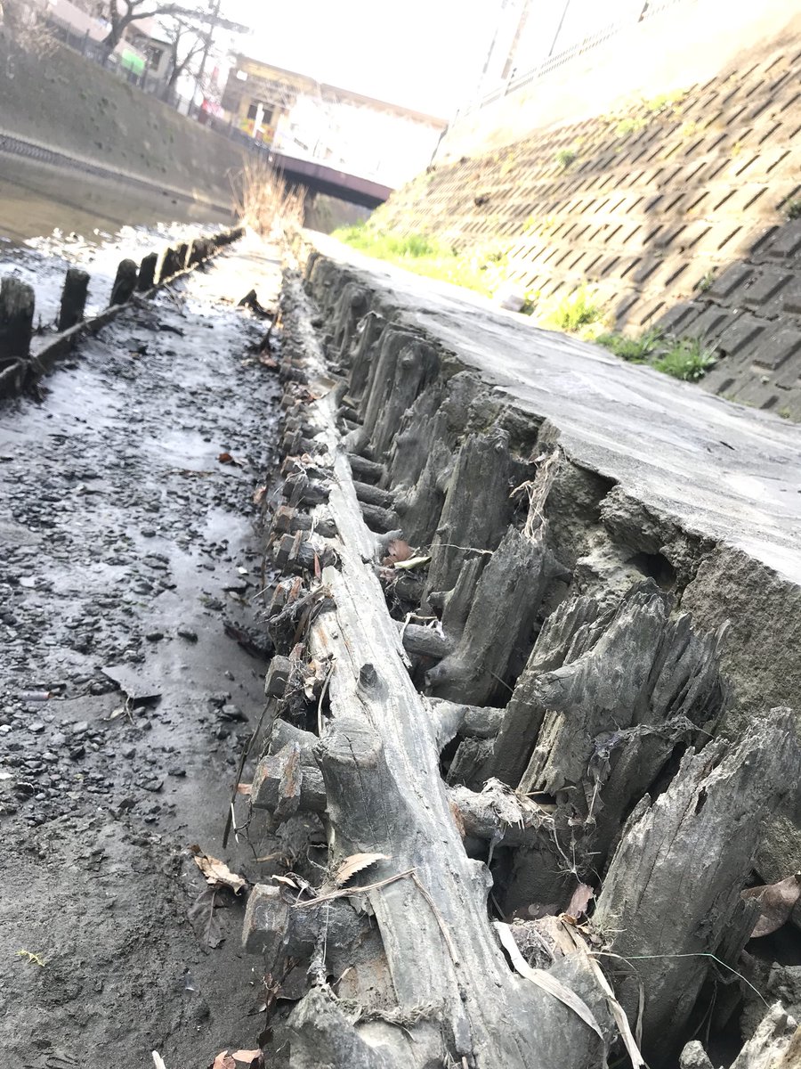 ghimirerx's tweet image. जापान पुरानो भएच ;) #morningmove #photoRx