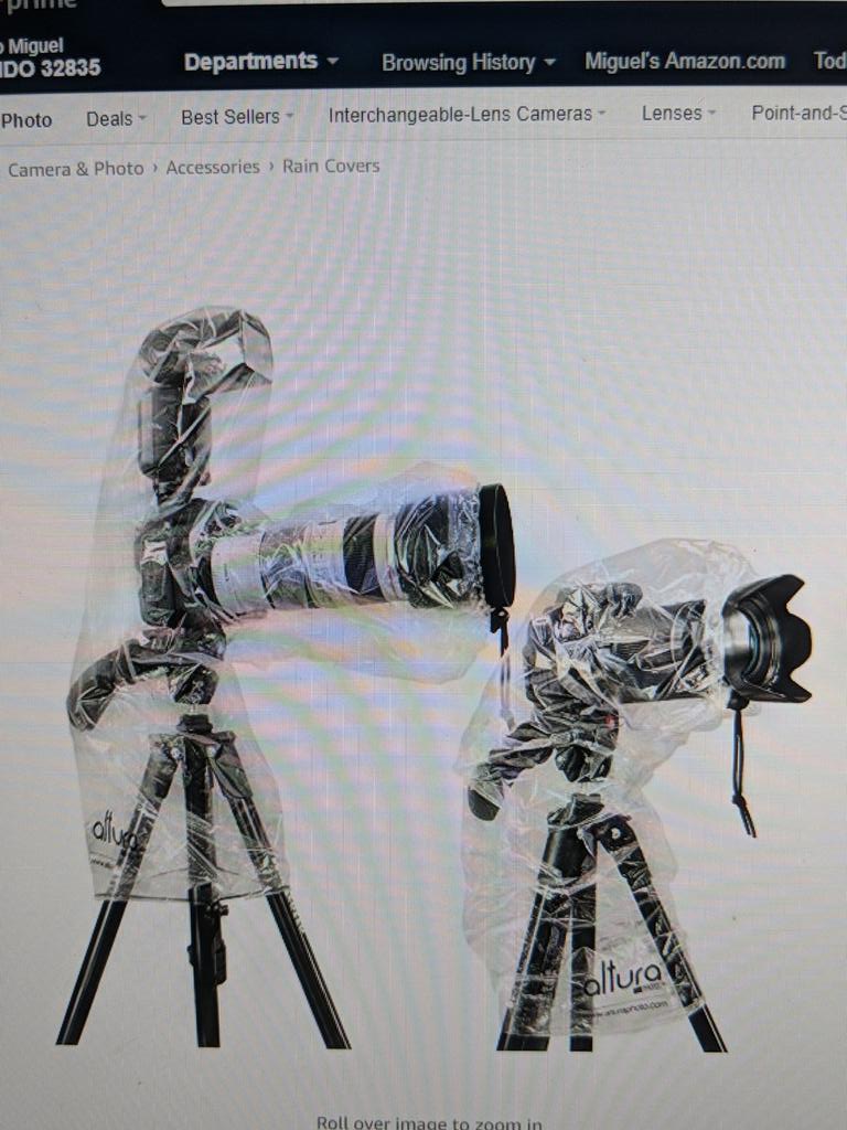 Miguel Silva🌿🐆🦨🐾 tweet media