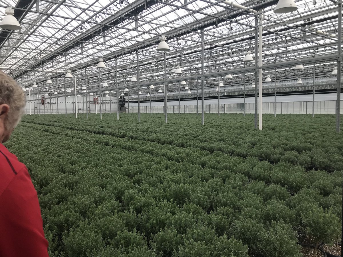 One of the goals of the Westfield Chamber is to highlight businesses growing in our community! Today we were out at <a href="/HeartlandGrower/">Heartland Growers</a> seeing their new greenhouse! #GROWestfield #westfieldchamber #heartlandgrowers