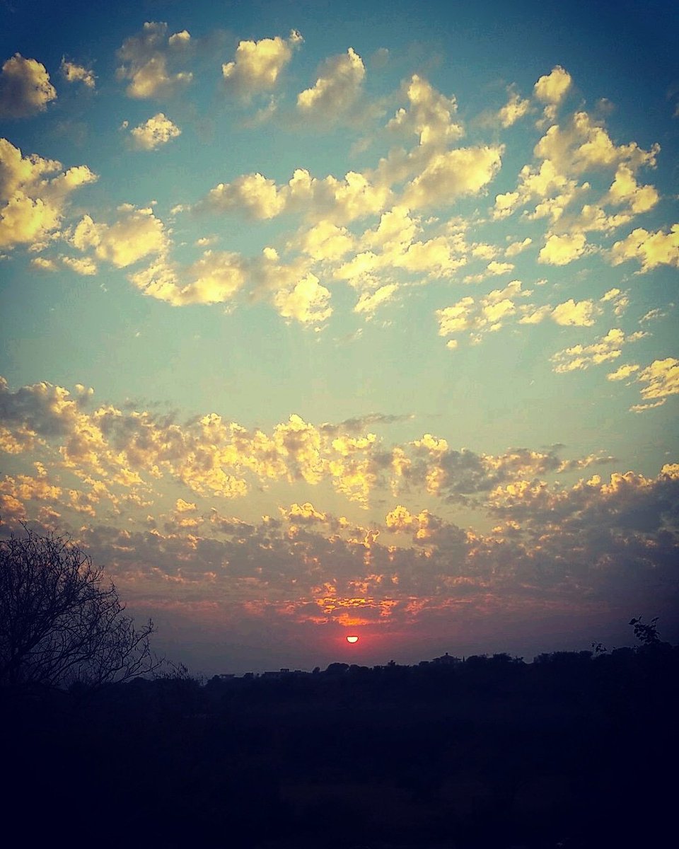 guftaa's tweet photo. "There's a sunrise and a sunset every single day, and they're absolutely free. Don't miss so many of them."
#appreciation #nature #sunset #sky_brilliance #heart_imprint #bns_sunset #tree  #fiftyshades_of_nature #everything_imaginable #allbeauty_addiction #sundown  #sky #Landscape https://t.co/D24fTdDn4n