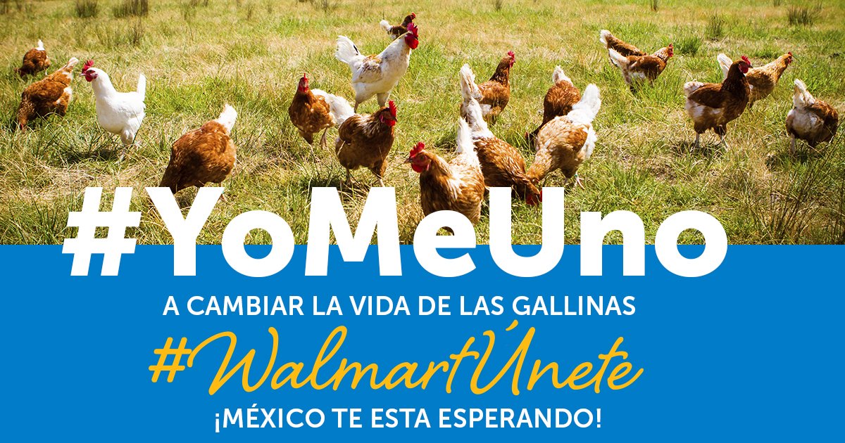 Así como <a href="/WalmartMexico/">walmartmexico</a> se une al #eShowMX18, debería también unirse al compromiso de exigir a sus proveedores que brinden espacios sin jaulas a las gallinas. #YoMeUno #WalmartÚnete #AbramosJaulas