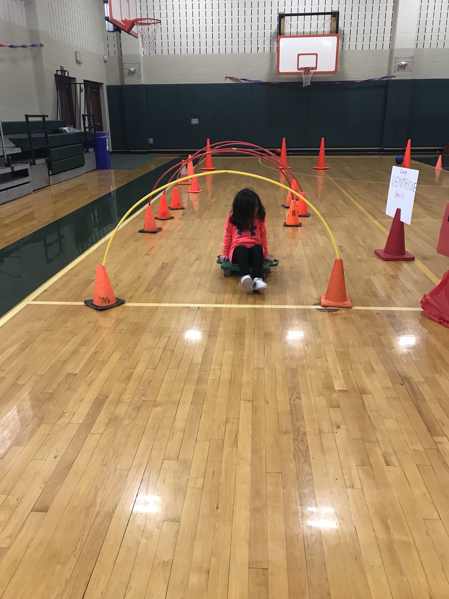 Peggy Galotti tweet media