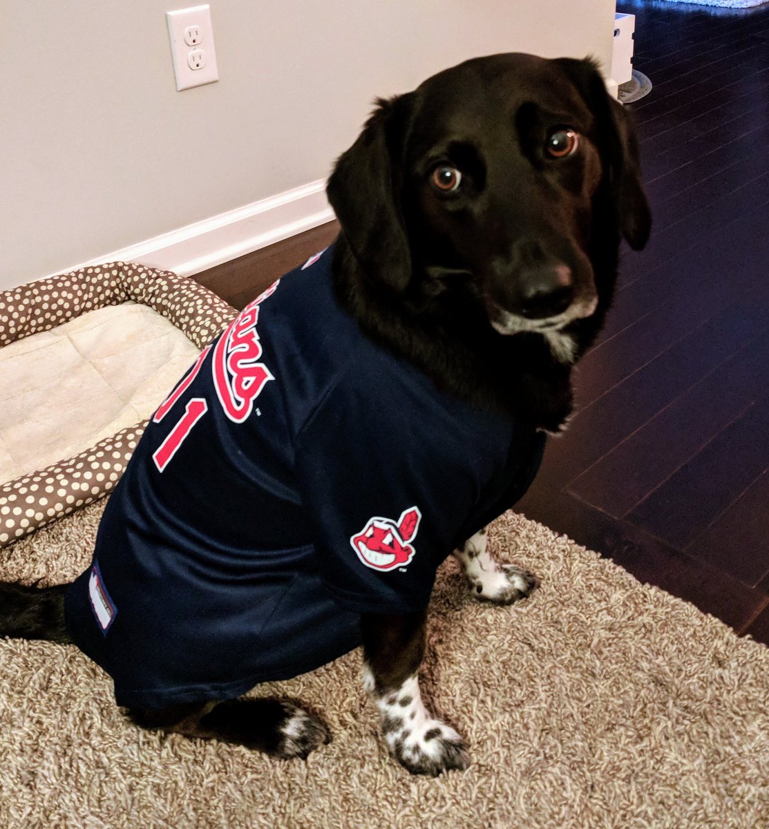 codegoalie's tweet photo. Mayzie still has her gear on! #noruffseason #TribeDogs @Indians @hayloveley6 https://t.co/vBUdMyJnNI
