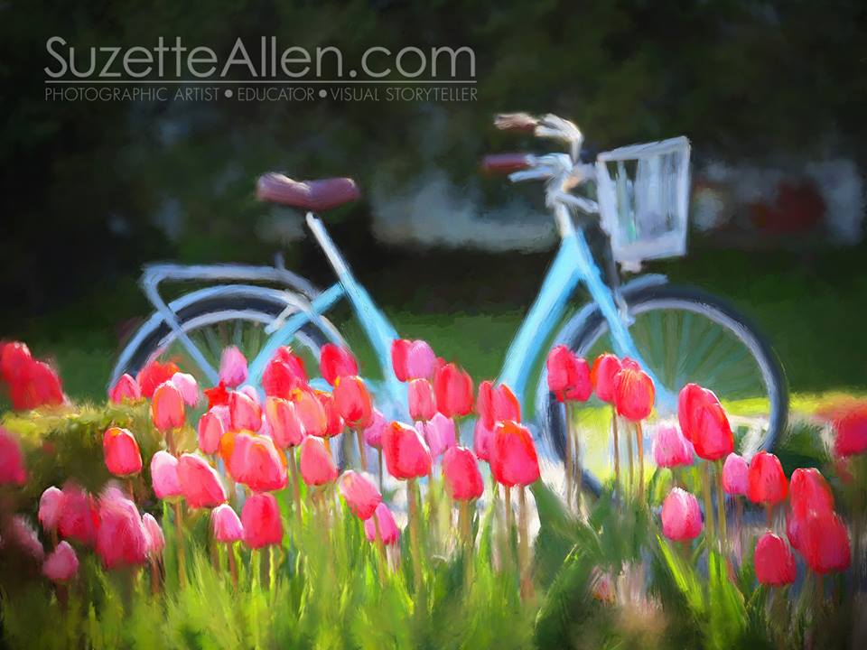 SuzetteAllen's tweet image. Looking for an inspirational #photooftheday #71of365! Taken a couple years ago at GLIP in Michigan.  Magical day on Mackinac Island, Michigan!  I ordered a necklace of it from Bay Photo Lab! it. #CreateontheGO #suzettesays #joinusatGLIP #lumixGH3 #photoshopmixerbrushes #topaztoo