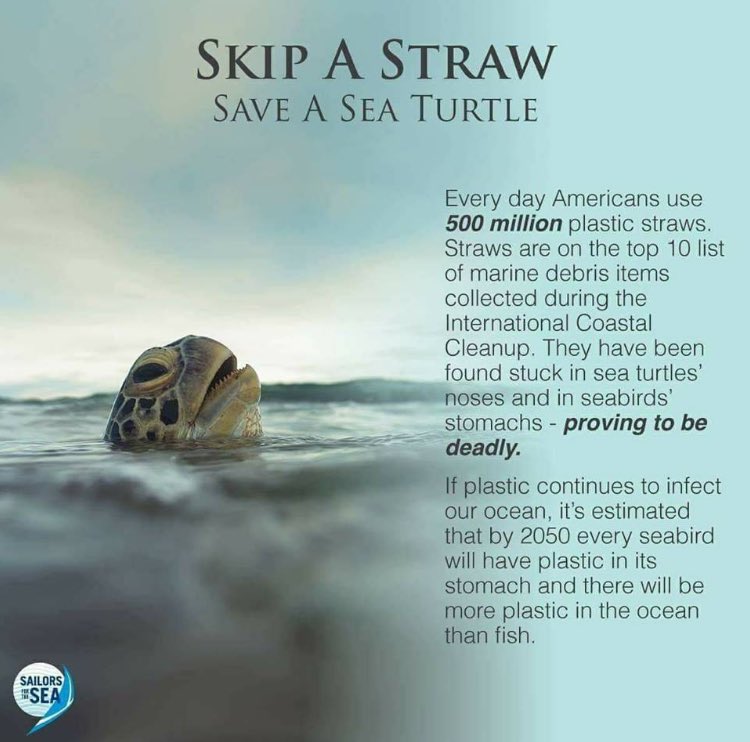 who was saying they needed straws?
#SkipaStraw #saveaturtle