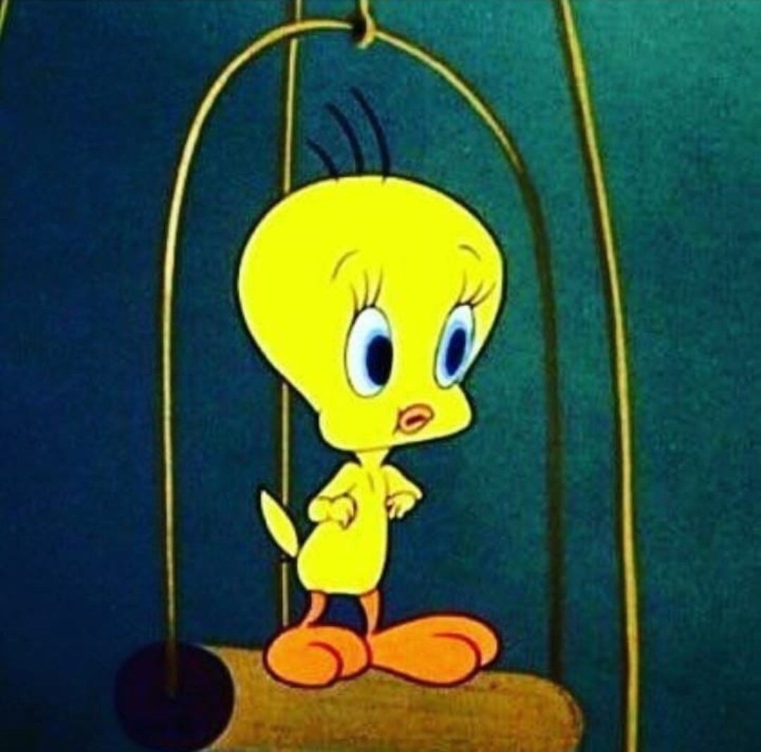 تويتر よっち 욧치 على تويتر Iuのinstagramアイコンが変わってた とんすけ からtweety トゥイーティー に Iu 아이유 Dlwlrma T Co Bzxkbjjujv تويتر よっち 욧치 على تويتر Iuのinstagramアイコンが変わってた とんすけ からtweety トゥイーティー に Iu 아이유 Dlwlrma T Co Bzxkbjjujv