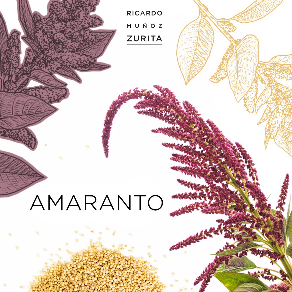 chef_zurita's tweet photo. El #amaranto se consume en México desde tiempos prehispánicos, el emperador azteca Moctezuma recibía cuatro mil toneladas al año como ofrenda de otros pueblos. En la actualidad Tlaxcala es uno de los principales productores en México. https://t.co/6XHineDf5g