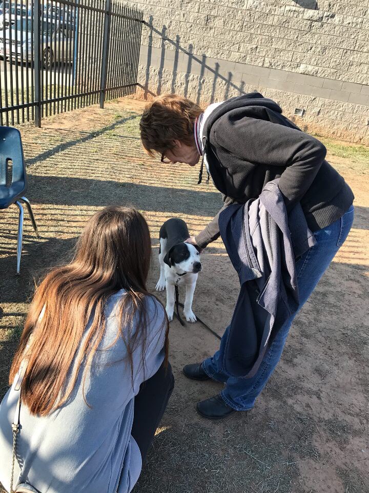 SHOUT_Week's tweet photo. Kickin it for Cass! 🐶🐶 #1LOVEFORCASS https://t.co/70TbJ1o5j4