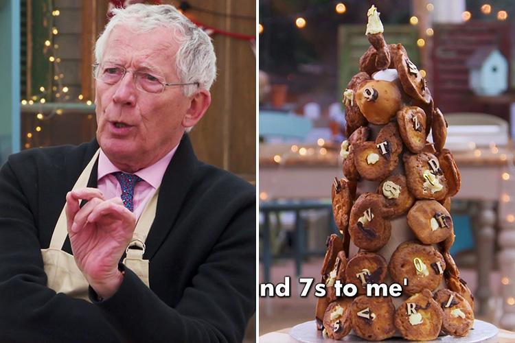 The Great Celebrity Bake Off viewers brand Nick Hewer 'best ever' contestant after his disastrous choux pastry attempt - The Sun dlvr.it/QKwFmd #pastry #PerfectChoux