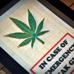 ArmyOfPotheads's tweet photo. @Cogitatorium @LARRYIRBY6 @afterdarkmusic @Michael57645022 @and1_grant @Jimi_Jammin @_dopedaneille @neverquit40 @BH28899118 @migoodridge1 @Davidjonesmahon @duckinmagoo @ThurmanQuery @Amznfrknaz @CrossFollower12 @DanBraun19 @hippieluvbud62 @ReeferMcGee @PerryLAnglin1 @crazybatmanfan @Hippie_of_Love @cannaworldsite @3PeopleLikeThis @MandiAfterDarkC @thcmed @TheLoudBank @DCNYATL @Dragonzwing14 @KeeslingT @Calrtipper @Norstackk @AlexCassista @weed675 @kiyomihutson @Kooky_420 @laurajax1 @Godzmazter @SpotItHigh @GideonsGarden @kidz_net @Bklynbby @blakeb6969 @TCQuery8 @jerryrickman1 @JennyGos13 @IntimateEyeInc @MedibleReview @EmeraldZoo Well done, General! It looks #like the plans are moving along...as planned! Ahhh, that's a mighty fine Launch crew for the #PotMasterGeneral!
No such thing as flying too high round @LARRYIRBY6!
@Cogitatorium, as #FieldInspectorGeneral, you know Safety's no accident! Well Done! https://t.co/Ah15E7oTxm