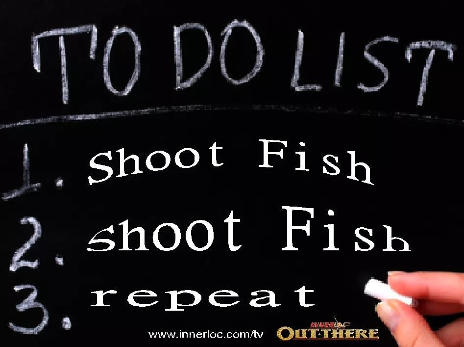 CoreyBrossman's tweet photo. Shoot fish!! #bowfishing https://t.co/5piyD7Xy7N