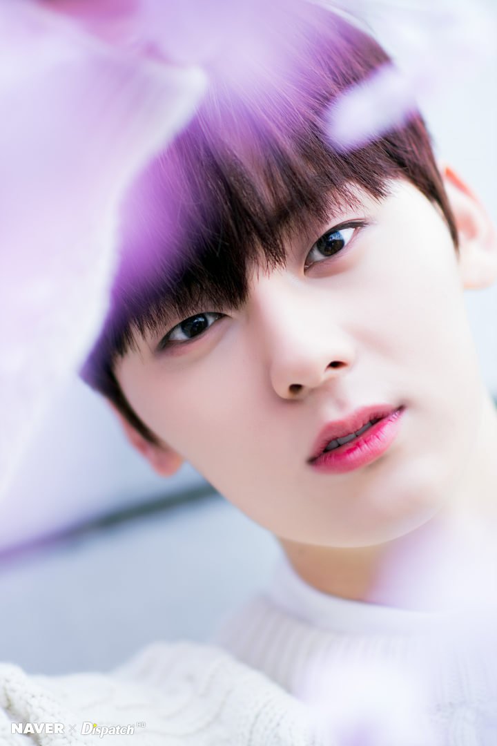 AsummerFox1995's tweet photo. .
황민현....하...민현아😭😭
역대급 화이트데이다...
디스패�� 감사합니다 https://t.co/h15BEJbCdZ