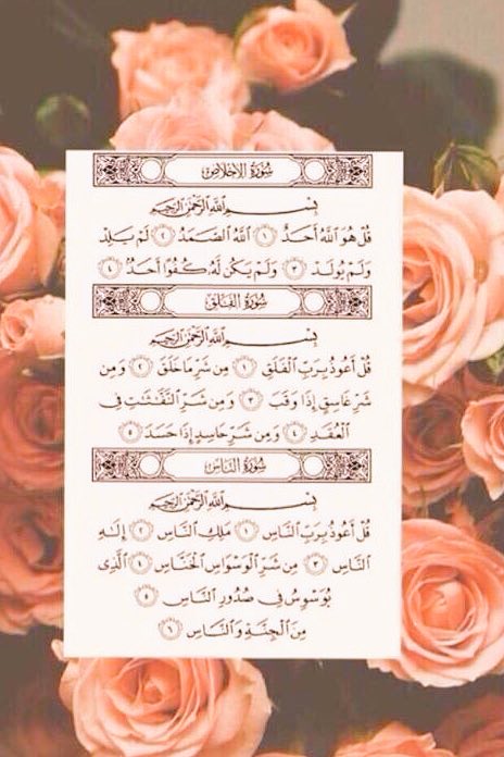 Mahmoud Gamal ⚖️🇸🇦 tweet media