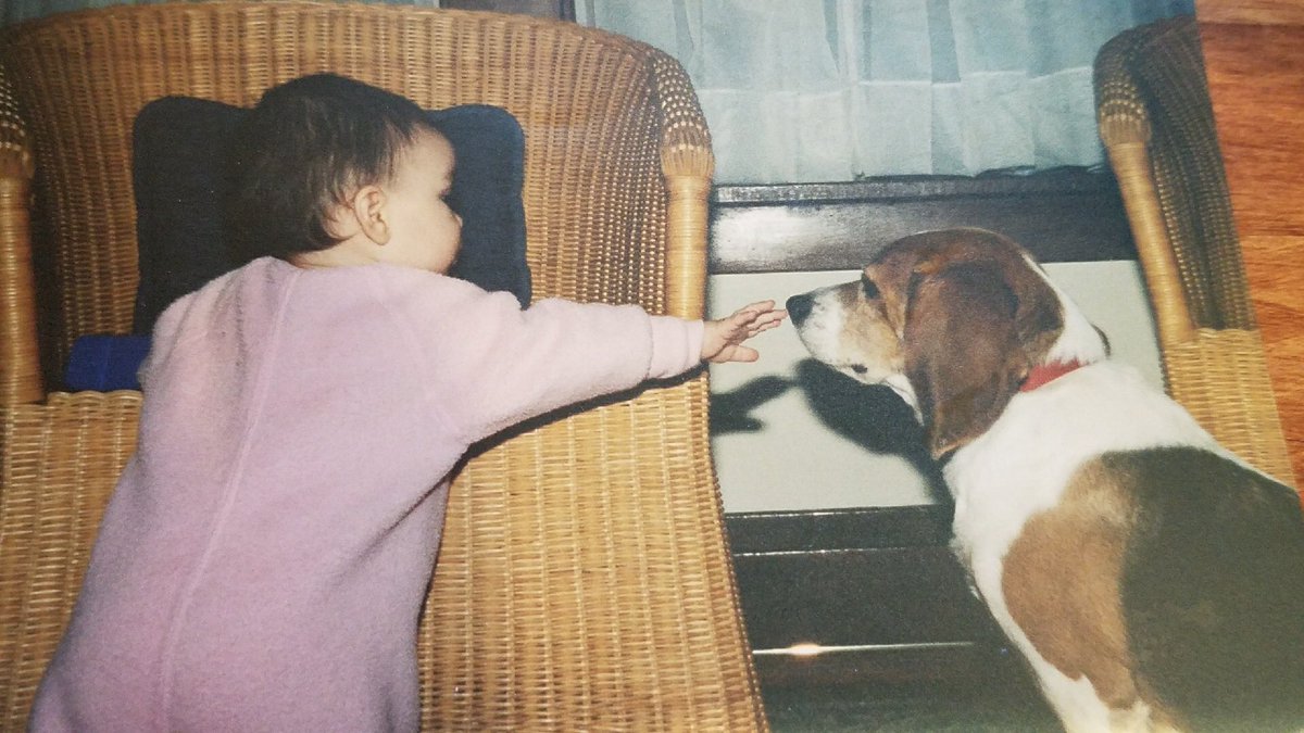 C_Gallz's tweet photo. Spot the difference between me as a baby with my dog and The Creation of Adam https://t.co/FyVBNcXdEE