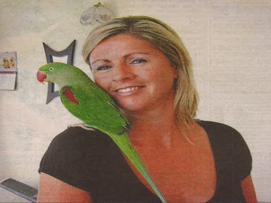 petsonthenet's tweet photo. Lost birds ARE found again! There are things you need to know now, even if your bird is not lost, so check out my blog at https://t.co/dGQlSYH4wQ https://t.co/8dbQN6bR4a