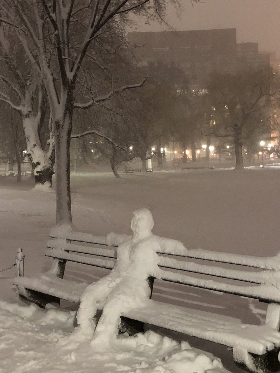 BostonTweet's tweet photo. Man on a Bench in the Boston Public Garden (pic @cla_bos) https://t.co/v31eZcA5DK