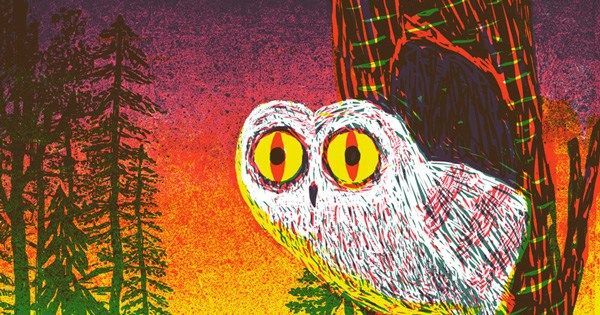 themarginalian's tweet photo. The hidden lives of owls – the science and spirit of nature's most elusive birds https://t.co/tzOPzSLUKf https://t.co/yl1MhyMESc