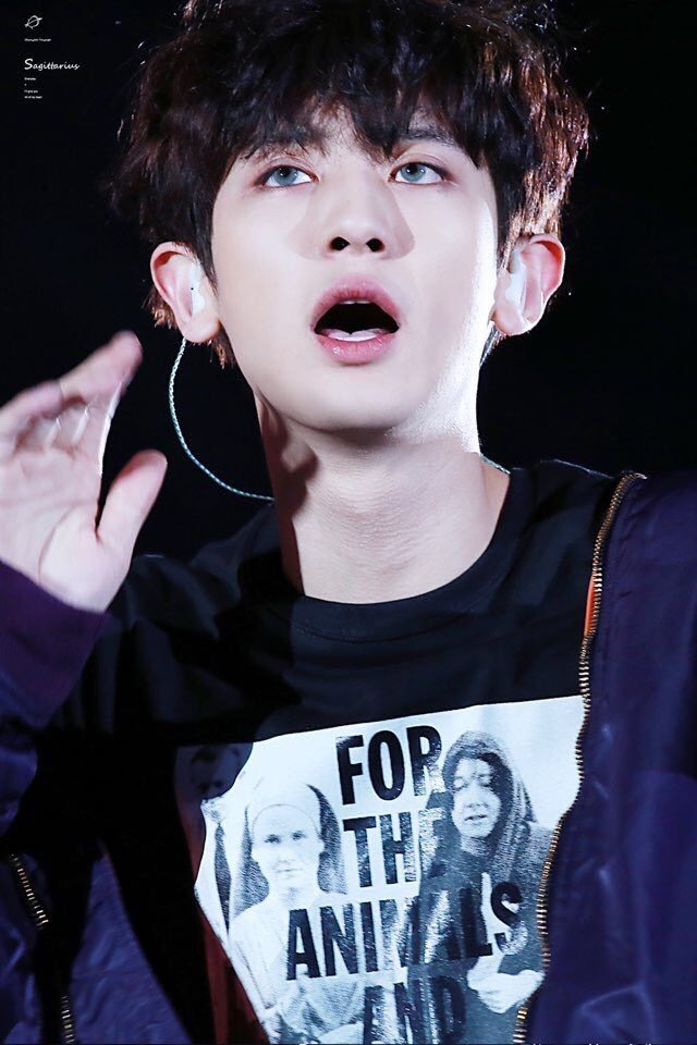 kjy0112_'s tweet photo. 🍒찬열시🔥

@yourside_61 @HA__CY @yeol2nuna5 @redsun1120 @qlrjq2105 @exoyeo1 @real_loey_pcy @Myeternal_61 @teeery_exo9 @BH04_CY61_ @YEOL_EE_  @sarangloey61 https://t.co/wLMBL8bBtZ