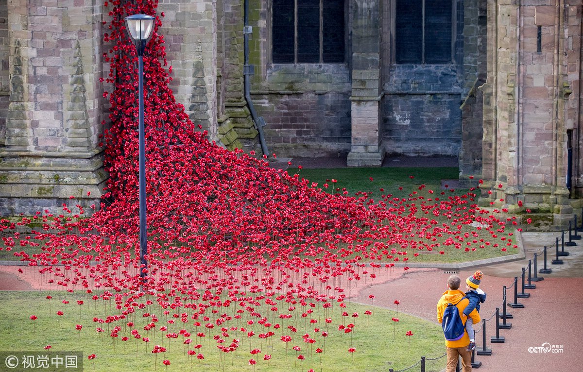 CCTV's tweet image. 【英國教堂展出“流淚之窗” 手工花朵如瀑布傾瀉而下】近日，英國赫裡福德教堂展出手工製作的罌粟花“流淚之窗”，罌粟花如瀑布傾瀉而下，十分壯觀。