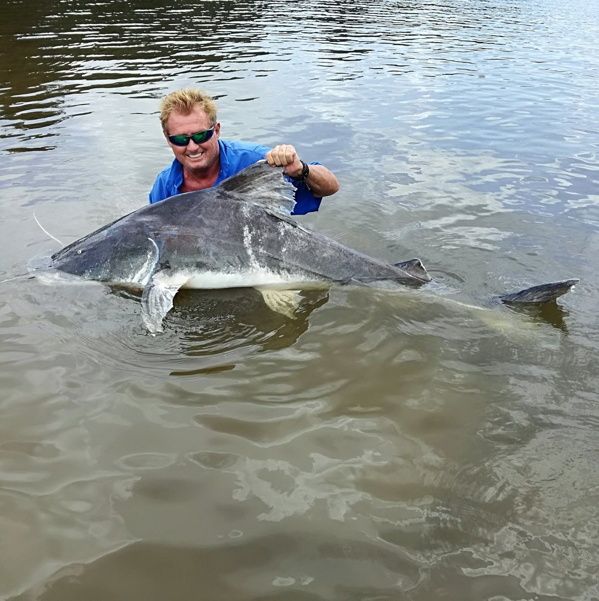 AmazonAngler's tweet image. Amazon-Angler.com clients are returning from a brilliant #fishing trip to #Guyana which produced a string of huge Lau or Paraiba catifsh....
More...
total-fishing.com/big-lau-catfis…