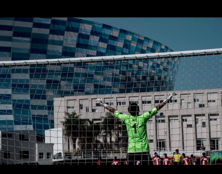 toritosbullskennels tweet media