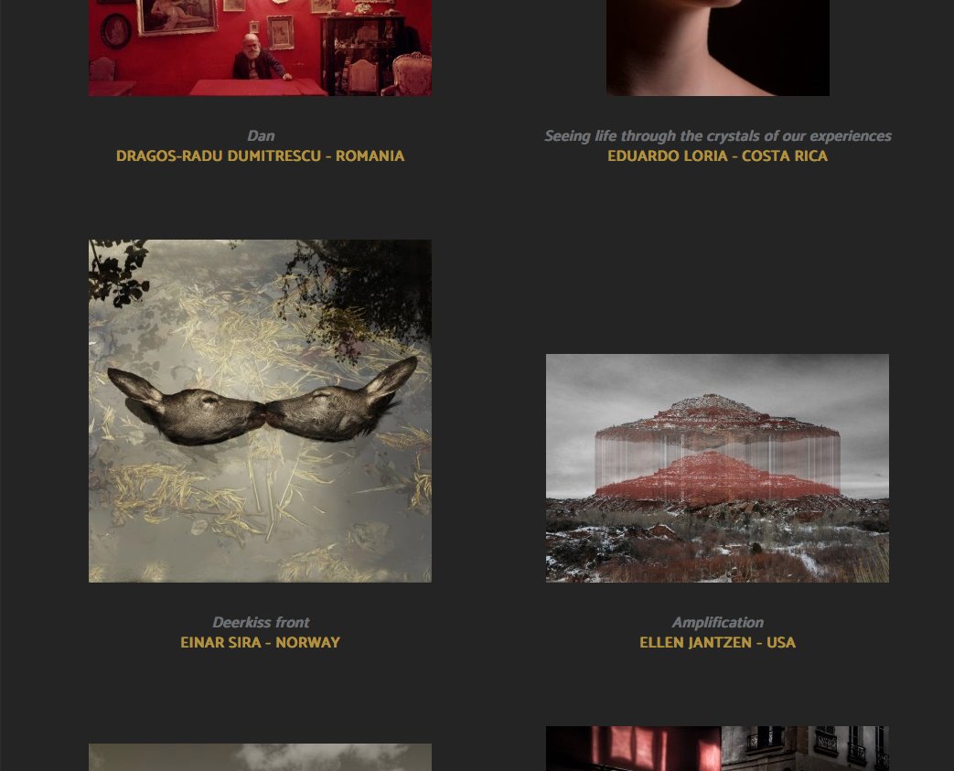 The "Deerkiss front" was made a nominee at the 11th internasjonal color award