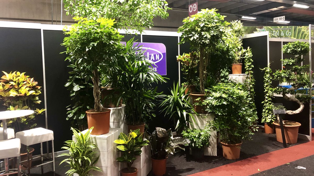 FachjanProjectPlants tweet media