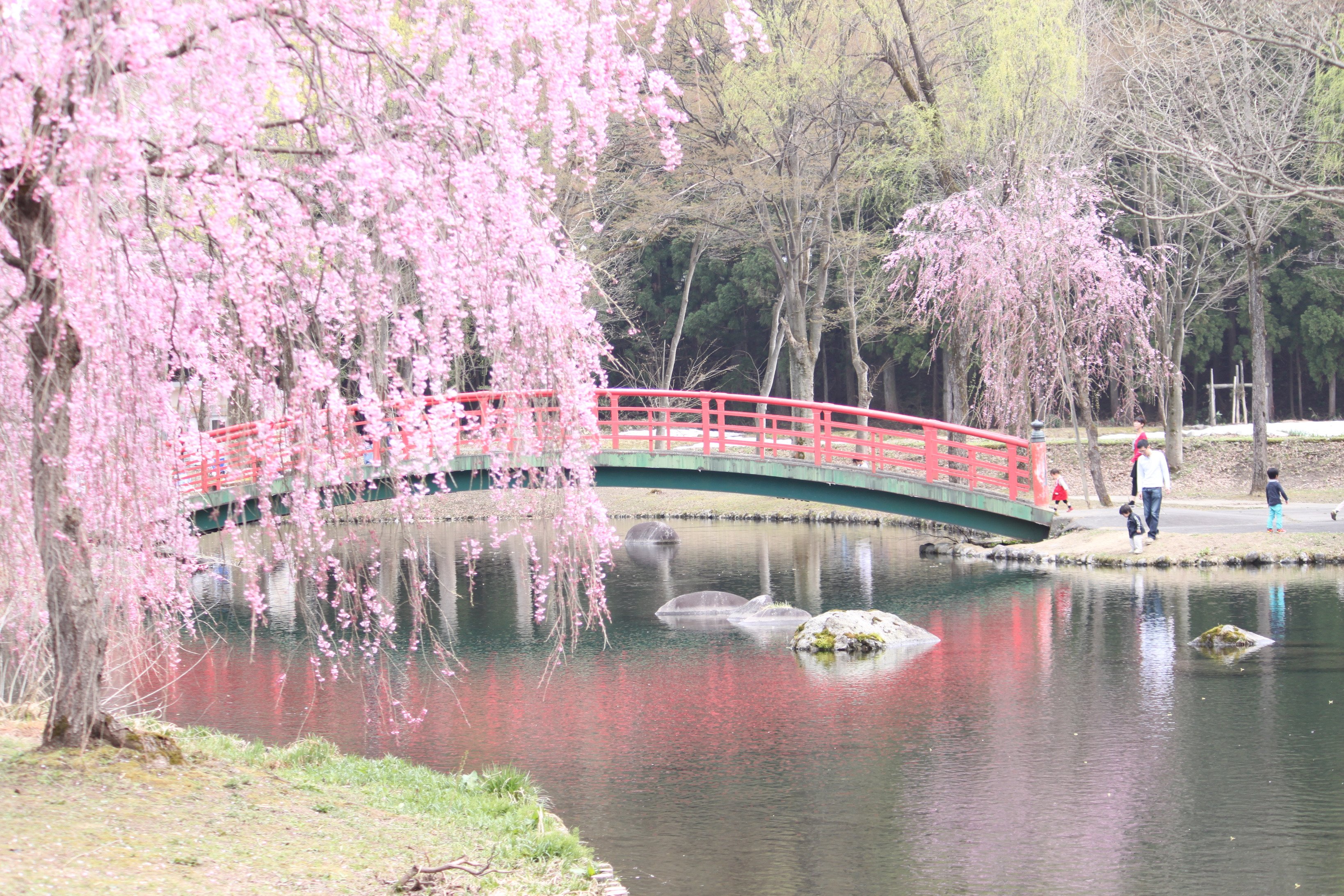 湯沢中央公園 Twitter Search Twitter