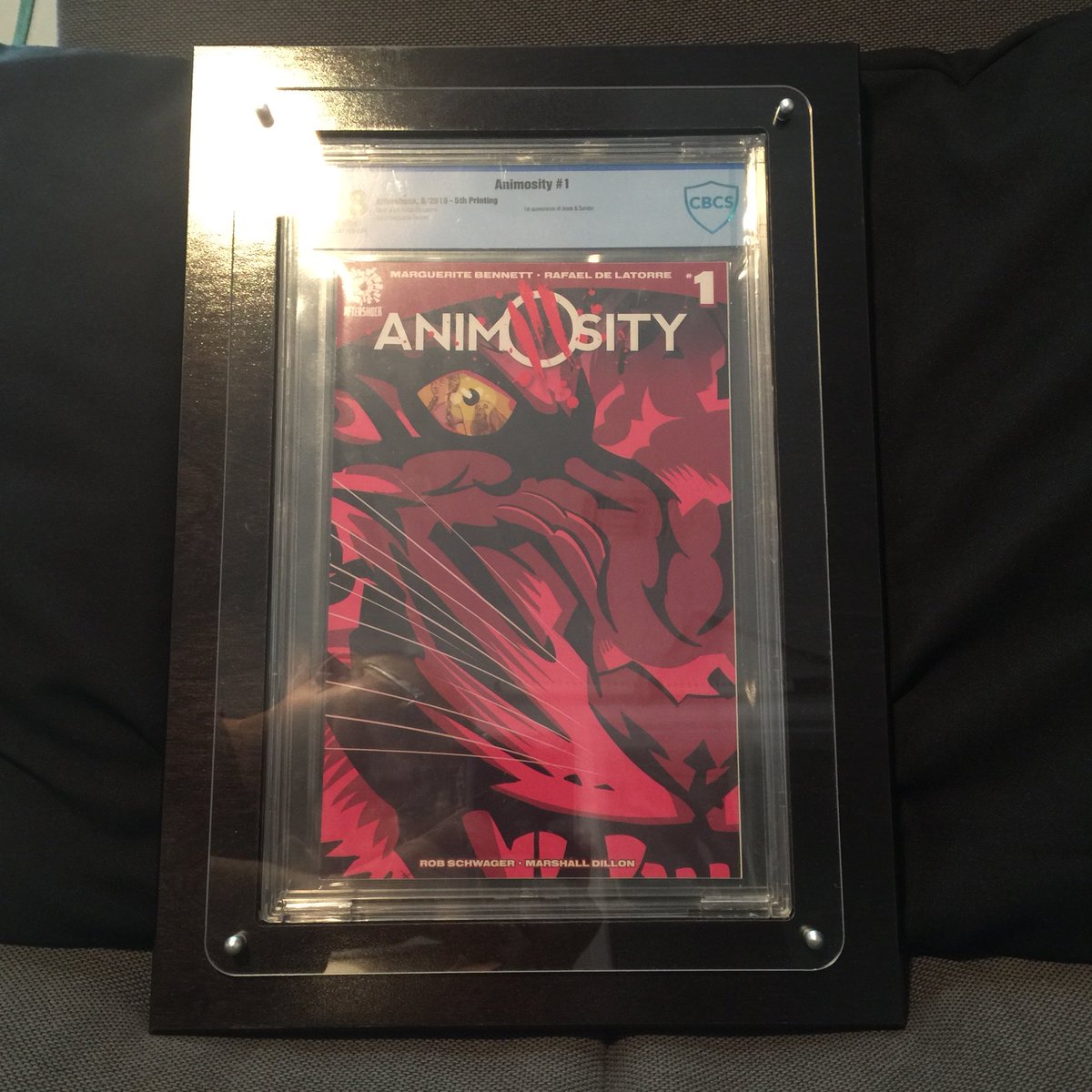 SunspotsComics's tweet photo. LOVING my #comicbookframes from #DynamicComicBookDisplays!🤓#dynamiccomicdisplays #comicbookdisplay #spiderman #goblin #greengoblin @AfterShockComix #normanosborn #peterparker @thealexrossart #danslott @SavageSmallwood #fujitsu @JAINITZ1 @wesstclaire #animosity @EvilMarguerite https://t.co/poIzJkM5pe