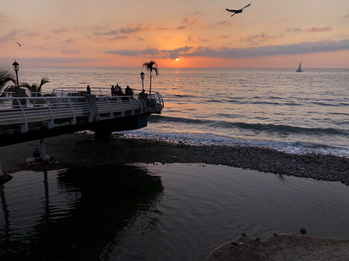 villamercedespv's tweet photo. Dreaming of paradise? Dream no more! Go https://t.co/mSSoyT3u66 and reserve your next #vacation in #PuertoVallarta #visitmexico #visitvallarta #zonaromantica #mexico #boutiquehotel #petithotel #hotellife #travellife #gayfriendly #straightfriendly #river #sea #beachlife #beautiful https://t.co/BqOeMH0Zzg