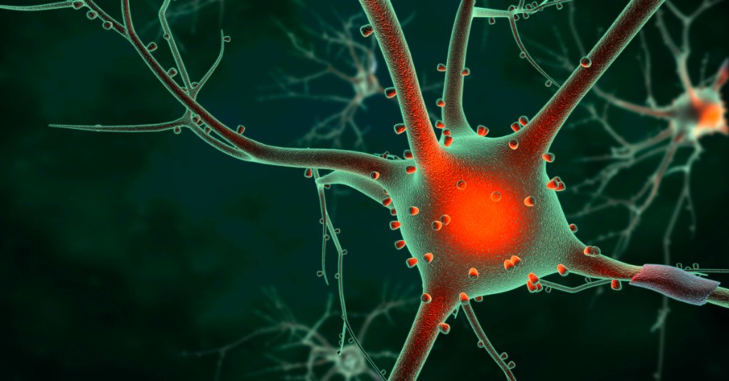 WebMD's tweet photo. If your feet feel cold but aren't cold to the touch, it could be a sign of peripheral neuropathy. It often starts at the toes and moves up the leg. More information: https://t.co/NAaSawYvnd https://t.co/vcgQbFtGzD