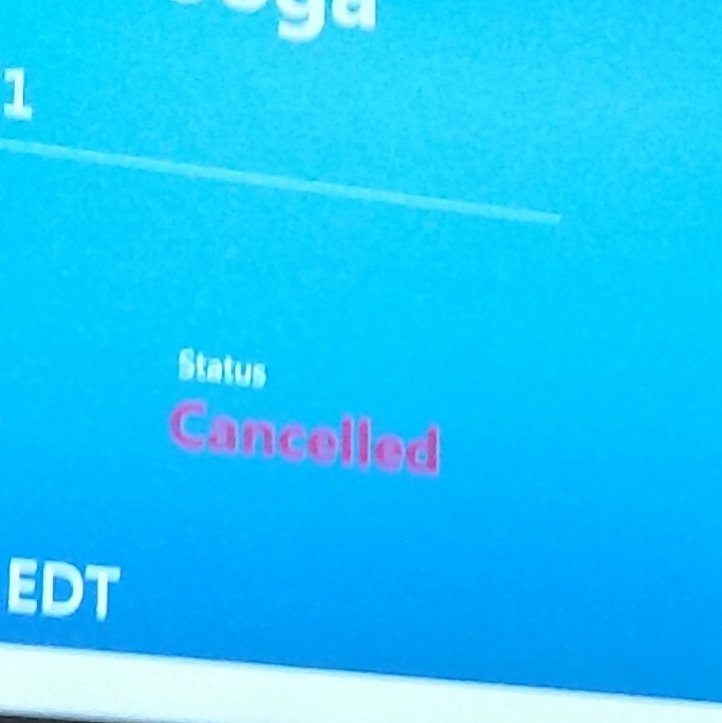 SafeLdy's tweet photo. Yahoo #AmericanAirlines after 5+hrs of delays.  The joys of traveling #EquestriSafe #horsesafety #horseid #horses https://t.co/QrGfvVDgUw